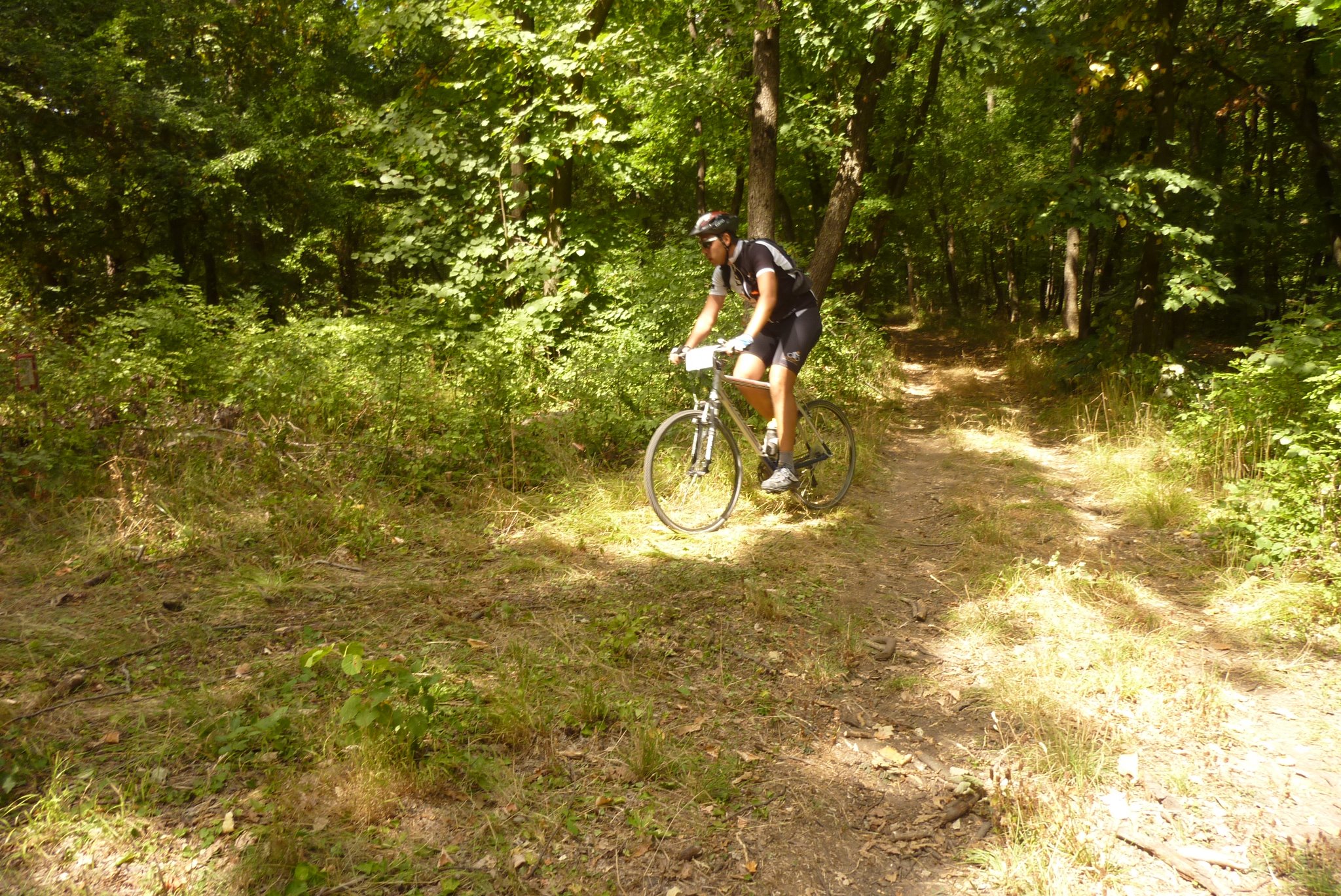 323688_274558152555172_3317450_o